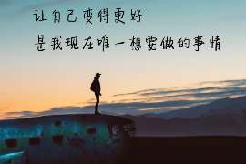 绿春调查反馈